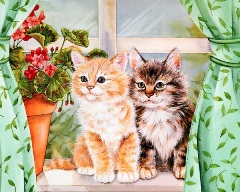 Про котов, котят и кошек, обитателей окошек... ф.36