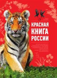 по страницам 
