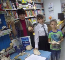 Поет ракушка гимны морю…