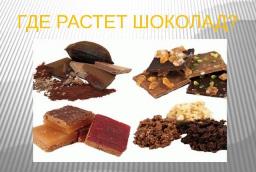 Фестиваль шоколада
